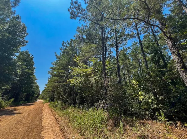 3 County Road 3230, Colmesneil, TX 75938