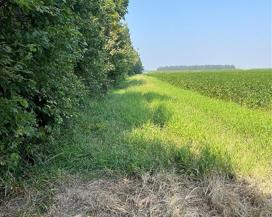 0 E Of County Rd 267, Neelyville, MO 63954 MLS 23054999 Zillow