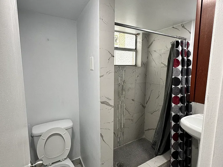 217 E 10th St #2 — Photo 4