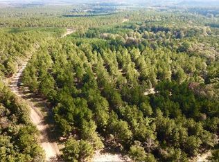 38.3 Acres Cres #2310, Woodville, TX 75979