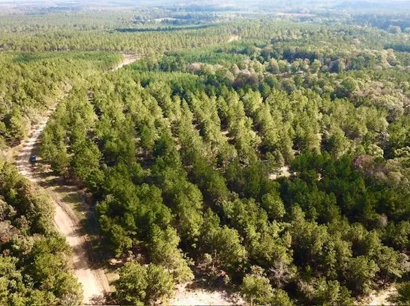 38.3 Acres Cres #2310, Woodville, TX 75979