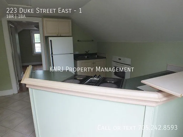 223 Duke St E #1 — Photo 10
