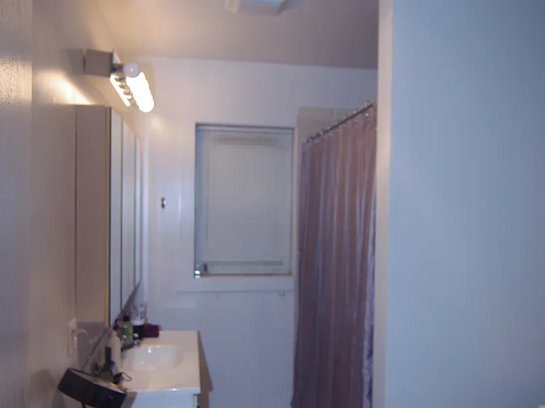 936 W Agatite Ave #1FE — Photo 13