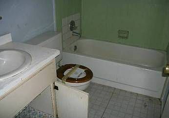 2nd image of 2441 Spring Hollow Dr