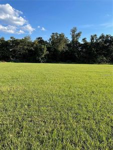 12705 McIntosh Groves Ln #7, Thonotosassa, FL, 33592