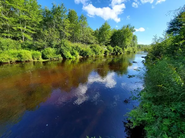 Lot 38 East Fork Road, Cherryfield, ME 04622