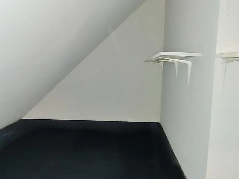 Walk in hallway closet