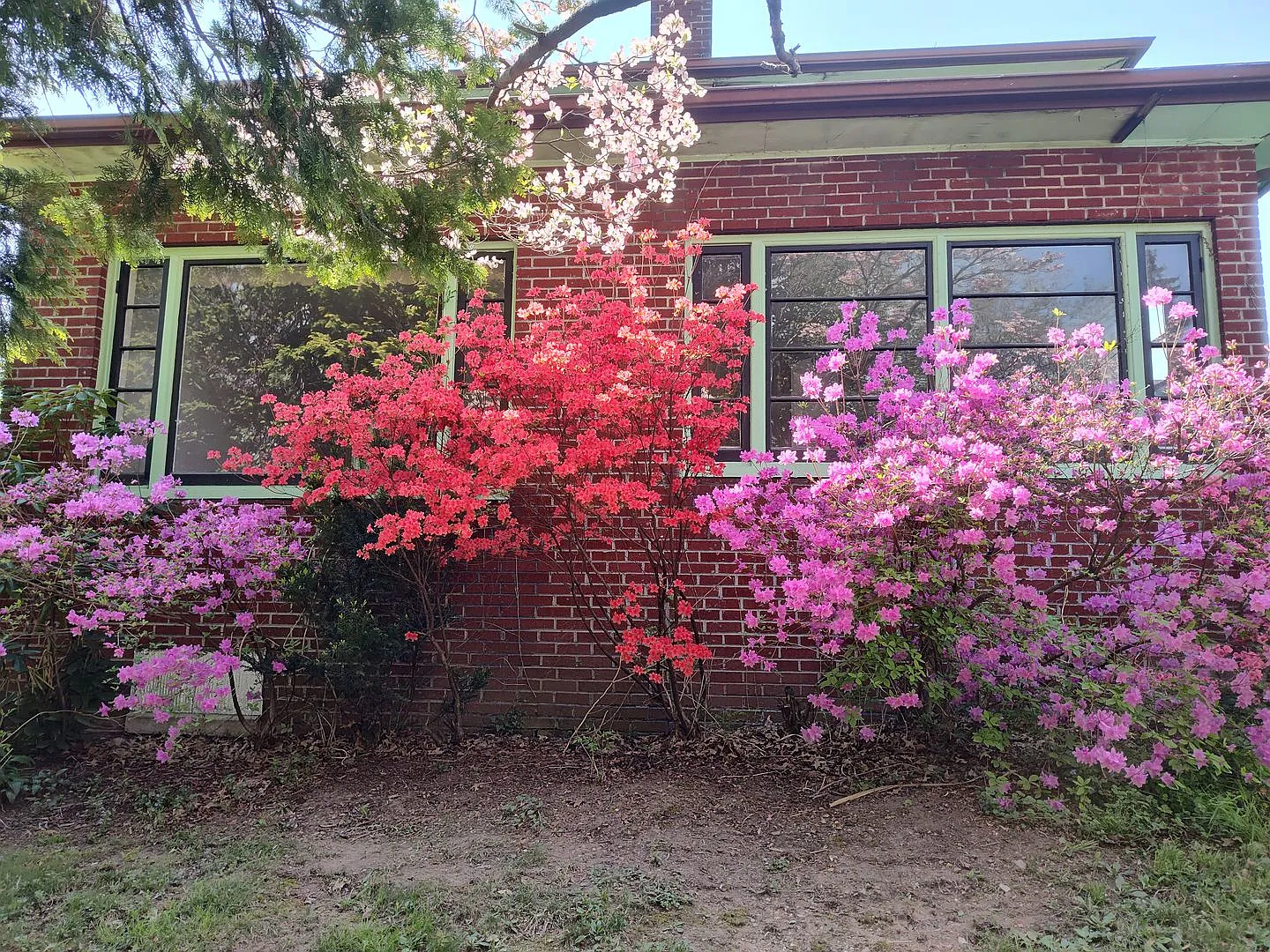 470 Maple Street, Manchester, PA — Photo 4