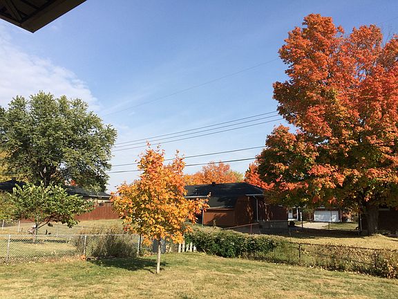 Back yard; new sunset maple