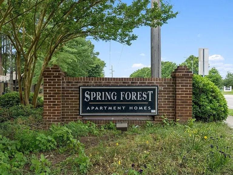 Spring Forest — Photo 23