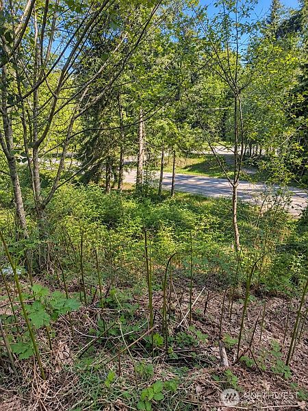 2nd image of 32933 SE Kent Kangley Road