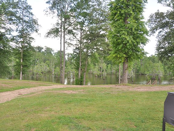 View from the back patio. 