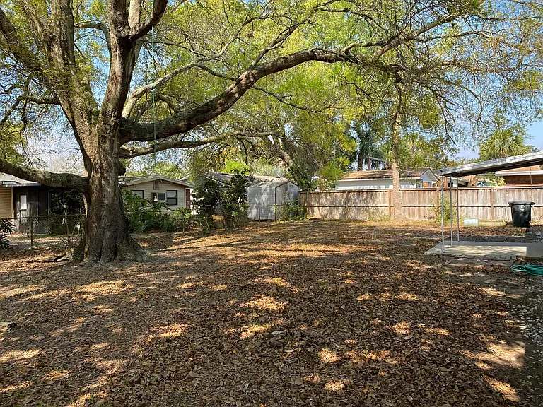 Large backyard with beautiful shade tree