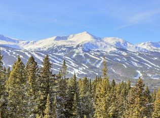 3362 Boreas Pass Rd, Breckenridge, CO 80424