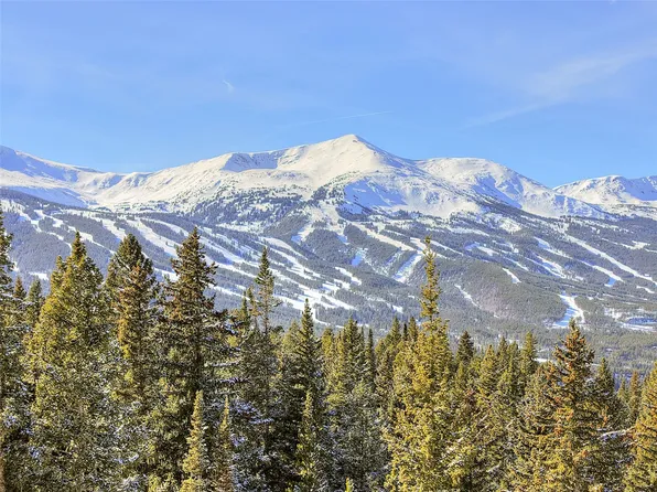 3362 Boreas Pass Rd, Breckenridge, CO 80424