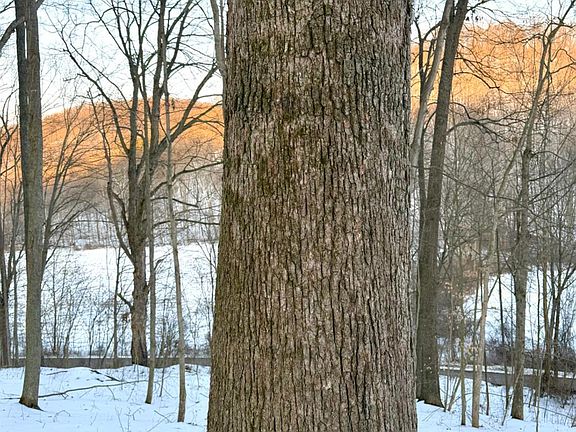 2nd image of 0 Carrs Run Rd