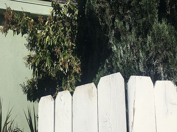 3rd image of 4584 Imperial Ave