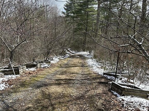 5th image of 498 Clemmer Ridge Ln