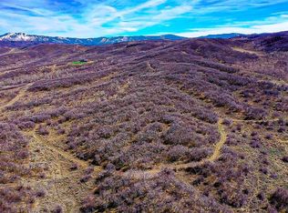 25270 Bella Vista Cir, Steamboat Springs, CO 80487