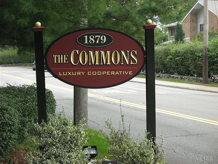 The Commons