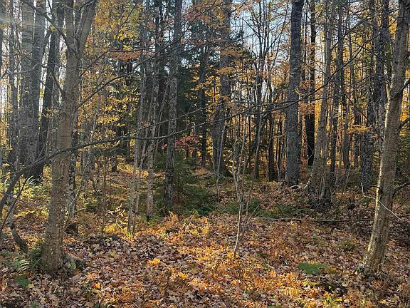 5th image of 27 Yellow Rd
