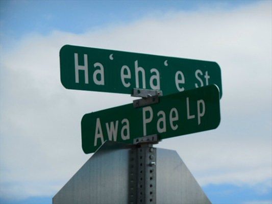 4th image of Awa Pae Loop Lot 455