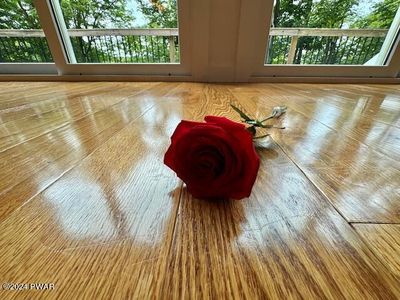 3067 Northgate Rd, Lake Ariel, PA, 18436