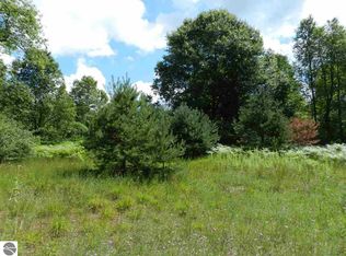 7529 Blue Rd SW, Fife Lake, MI 49633