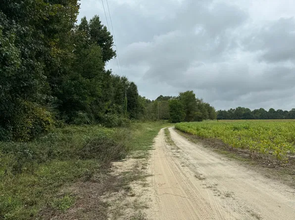 James Martin Rd, Manning, SC 29102