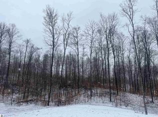 S Hill Rd, Cedar, MI 49621