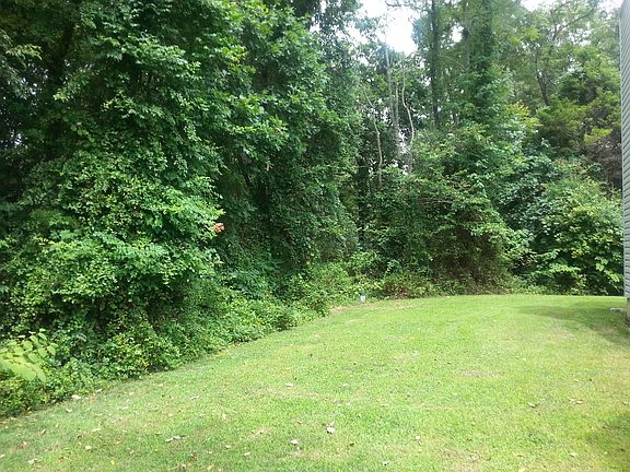 Home Backs to woods