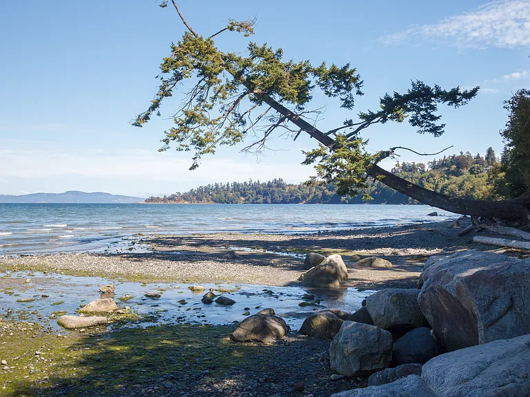 Cordova Bay Rd — Photo 64