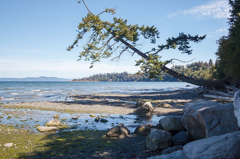 Saanich House for rent - 3 Bedrooms — photo 63