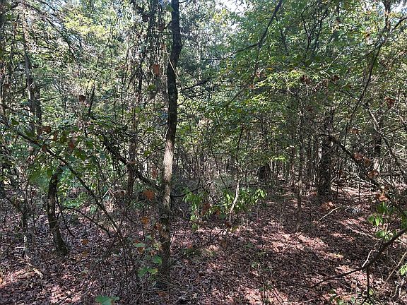 5th image of 9919 Old 81 Loop