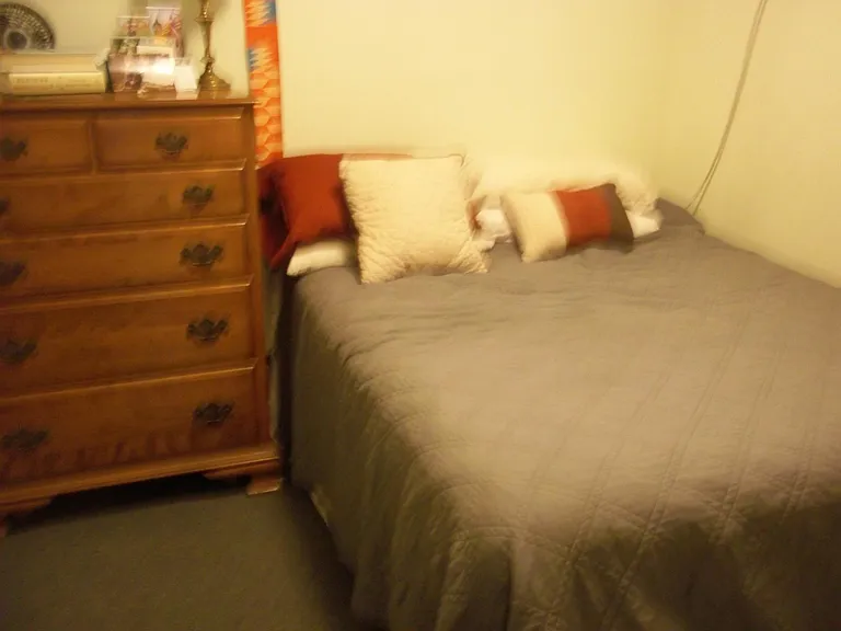 1625 Wallace St #1F — Photo 7
