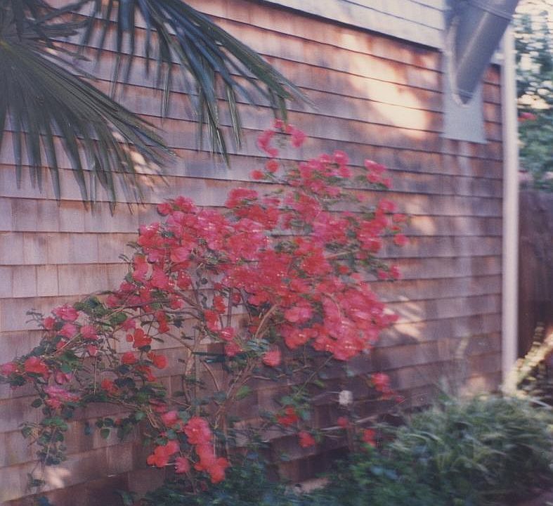 Partial view of Walk Way Garden