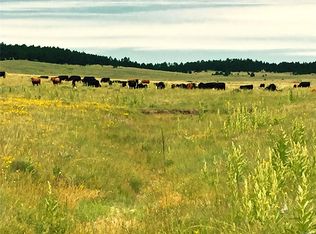 16505 Warriors Path Dr, Peyton, CO 80831