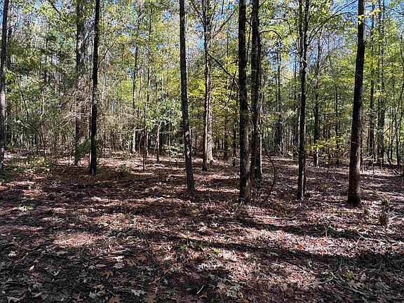 5th image of 0 Mudville Rd Lot 4