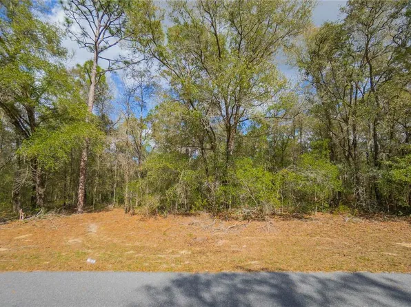 8743 N Sandree Dr Lot 11, Dunnellon, FL 34434