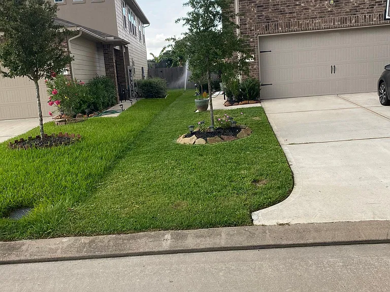 Street view of the front of the house