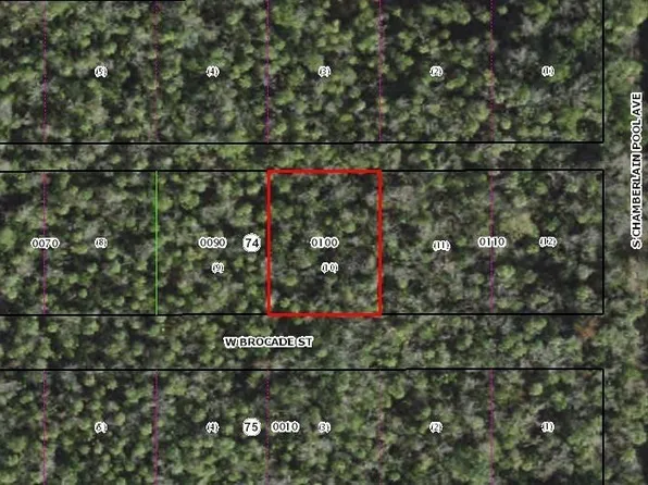 10681 W Brocade St, Homosassaa, FL 34448