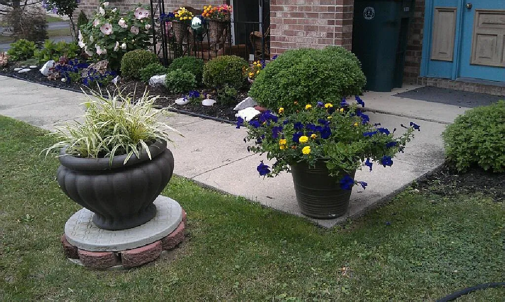 Amy Dr, Niagara Falls — Photo 1
