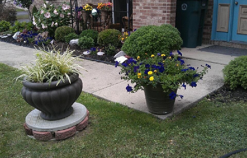 Seasonal perennials at the entrance.