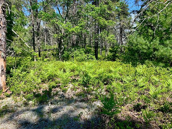 3rd image of 13713 N Whitefish Point Rd