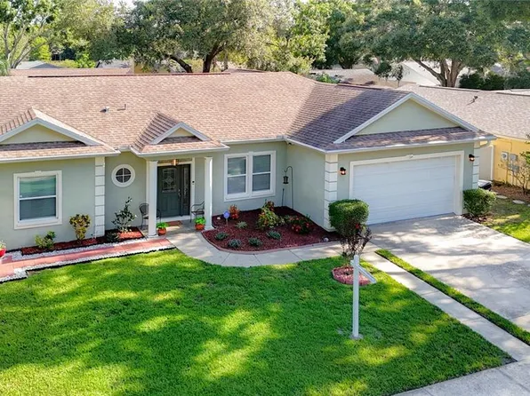 5825 Bitter Orange Ave, Tampa, FL 33625