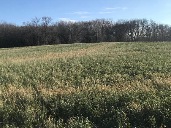 4th image of Chapparrel Ln