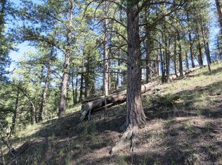 291 Mesa Dr, Florissant, CO 80816