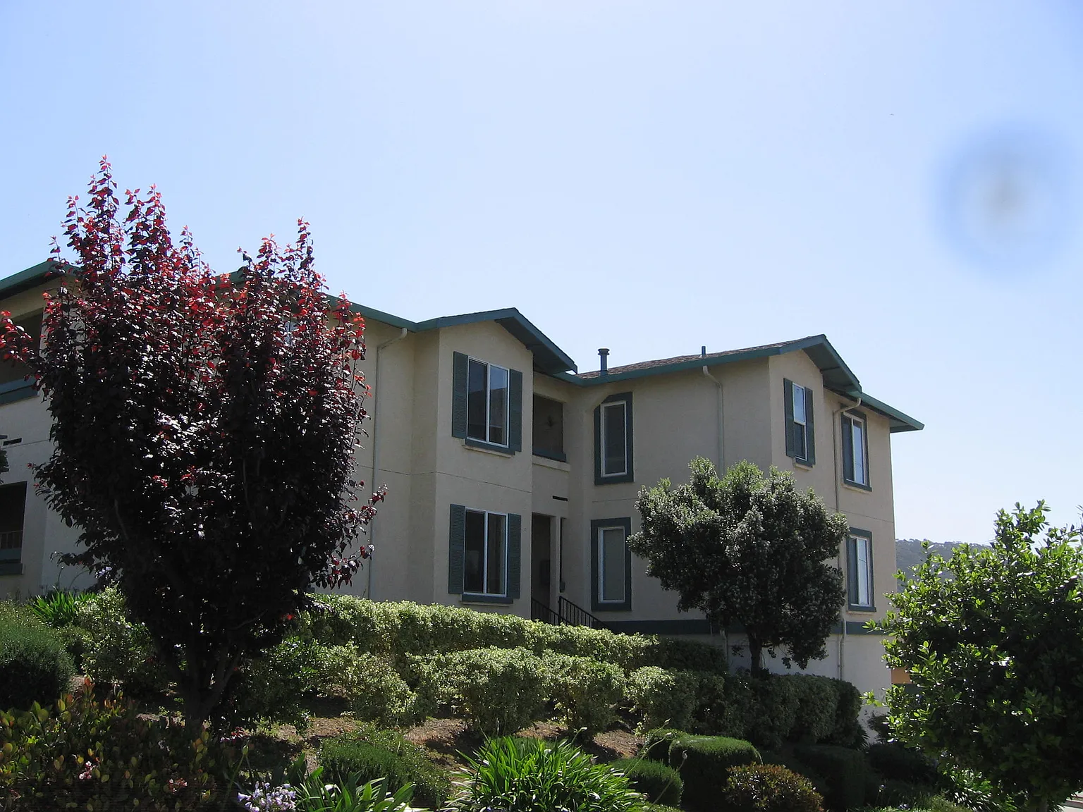 Sunset Vista Apartments — Photo 3
