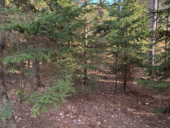 3rd image of N Dyer Park Lot 28