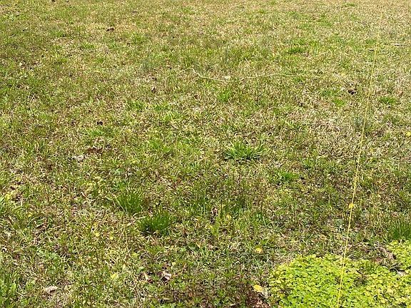 2nd image of 114 Magnolia St